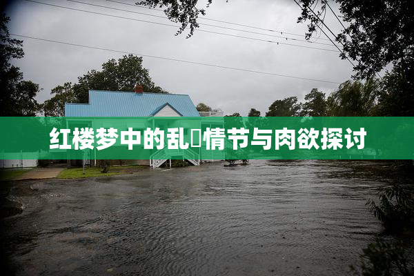 红楼梦中的乱婬情节与肉欲探讨