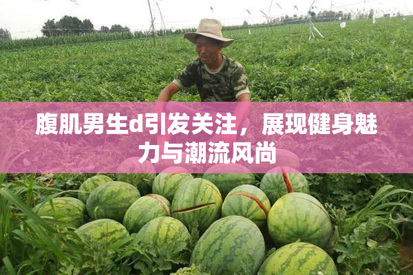 腹肌男生d引发关注，展现健身魅力与潮流风尚