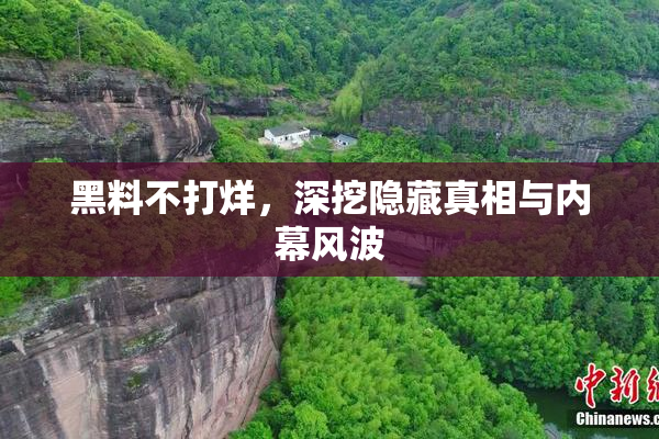 黑料不打烊，深挖隐藏真相与内幕风波