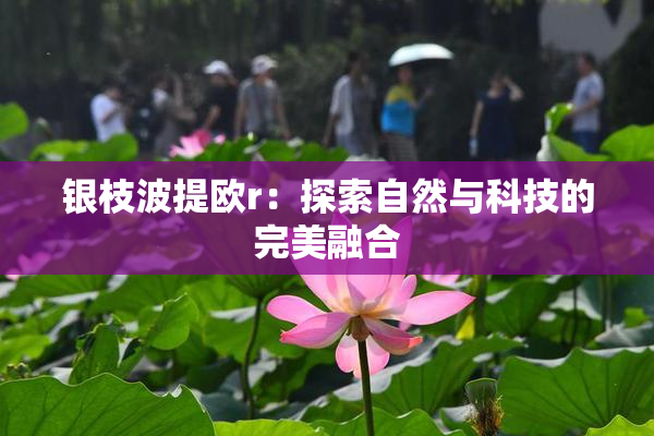 银枝波提欧r：探索自然与科技的完美融合