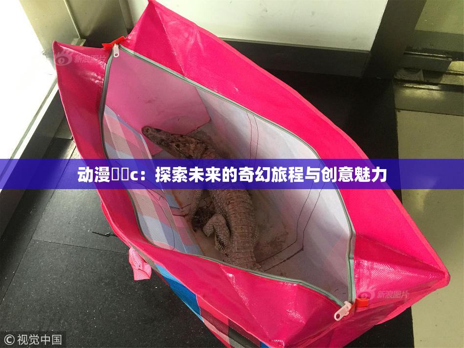 动漫❌‌c：探索未来的奇幻旅程与创意魅力