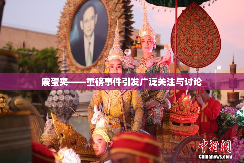 震蛋夹――重磅事件引发广泛关注与讨论