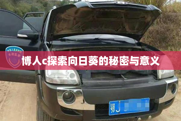 博人c探索向日葵的秘密与意义