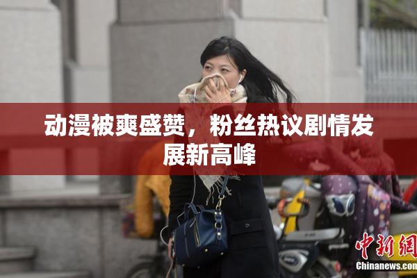 动漫被爽盛赞，粉丝热议剧情发展新高峰