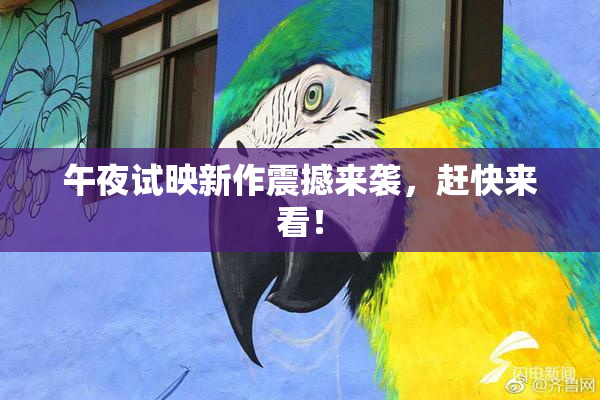 午夜试映新作震撼来袭，赶快来看！