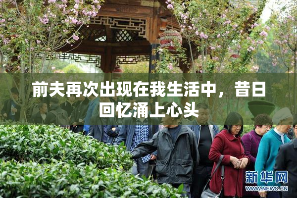 前夫再次出现在我生活中，昔日回忆涌上心头