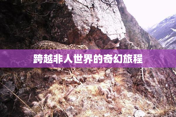 跨越非人世界的奇幻旅程