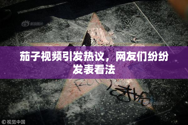 茄子视频引发热议，网友们纷纷发表看法