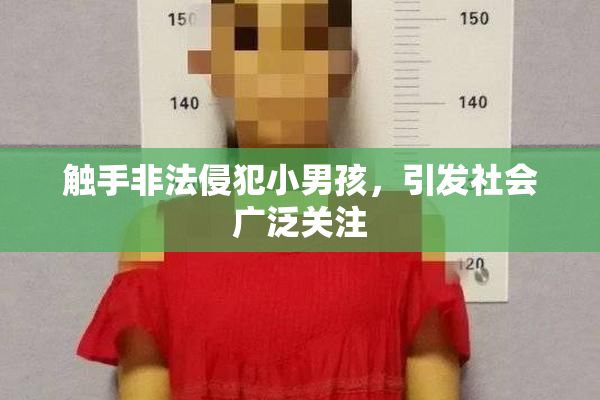 触手非法侵犯小男孩，引发社会广泛关注