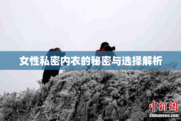 女性私密内衣的秘密与选择解析