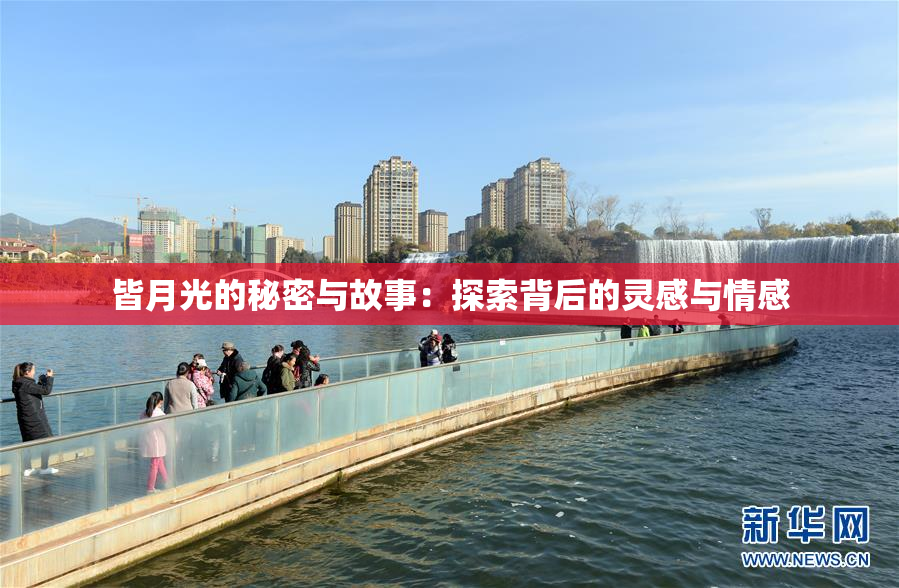 皆月光的秘密与故事：探索背后的灵感与情感