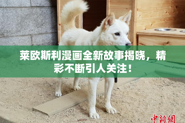 莱欧斯利漫画全新故事揭晓，精彩不断引人关注！