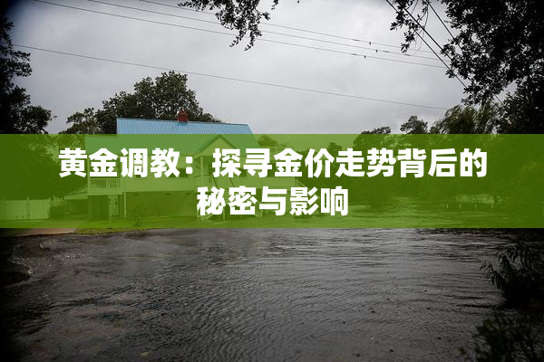 黄金调教：探寻金价走势背后的秘密与影响
