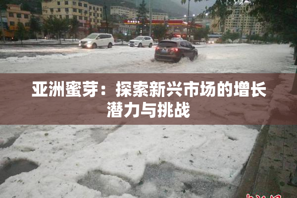 亚洲蜜芽：探索新兴市场的增长潜力与挑战