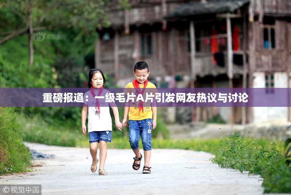 重磅报道：一级毛片A片引发网友热议与讨论