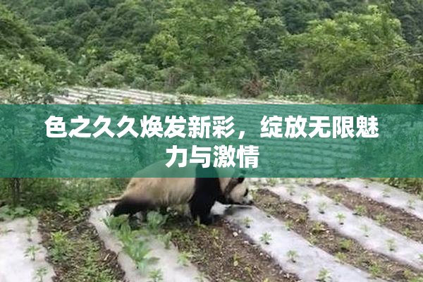 色之久久焕发新彩，绽放无限魅力与激情