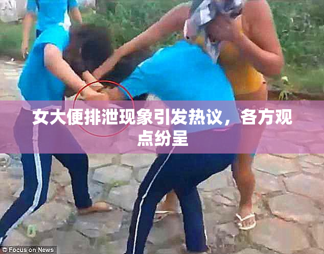 女大便排泄现象引发热议，各方观点纷呈