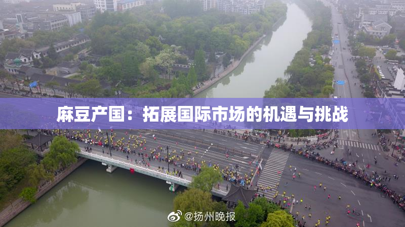 麻豆产国：拓展国际市场的机遇与挑战