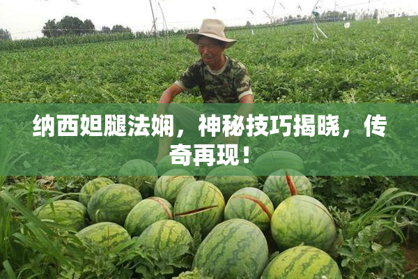 纳西妲腿法娴，神秘技巧揭晓，传奇再现！