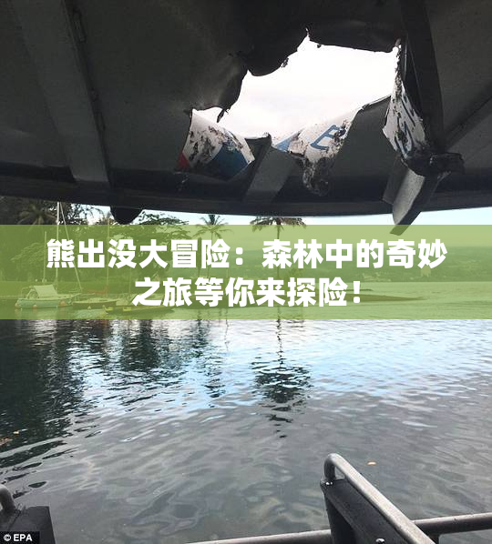熊出没大冒险：森林中的奇妙之旅等你来探险！
