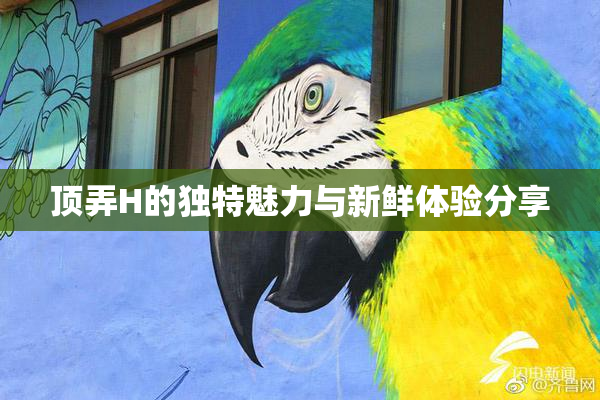 顶弄H的独特魅力与新鲜体验分享