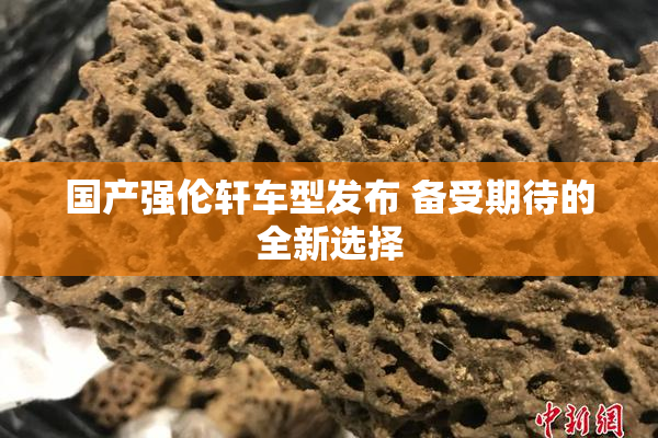 国产强伦轩车型发布 备受期待的全新选择