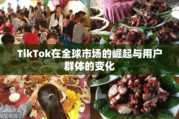 TikTok在全球市场的崛起与用户群体的变化