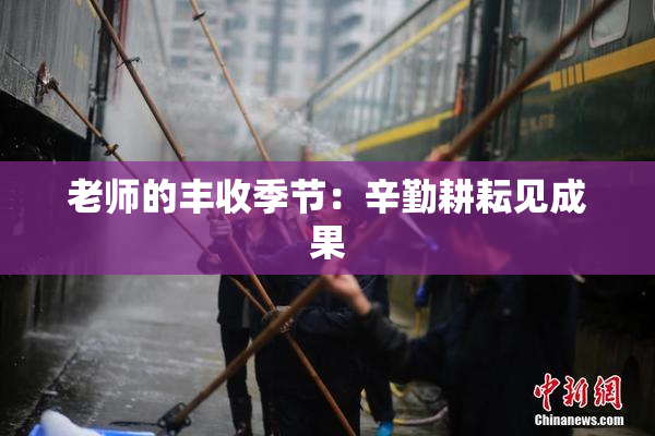 老师的丰收季节：辛勤耕耘见成果