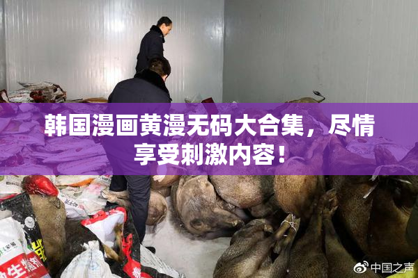 韩国漫画黄漫无码大合集，尽情享受刺激内容！