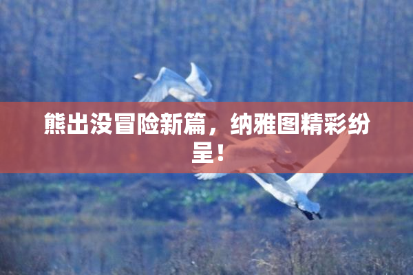 熊出没冒险新篇，纳雅图精彩纷呈！