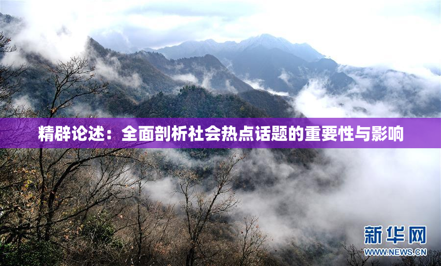 精辟论述：全面剖析社会热点话题的重要性与影响