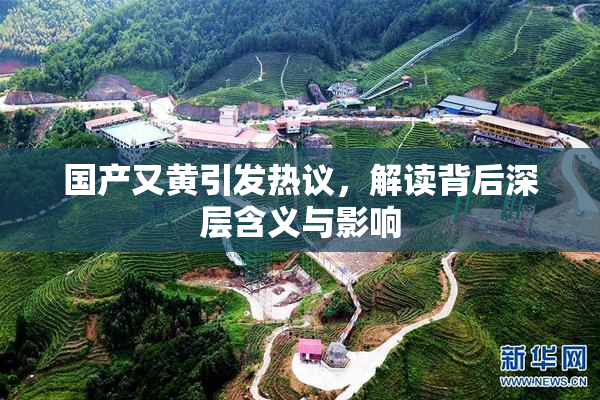 国产又黄引发热议，解读背后深层含义与影响