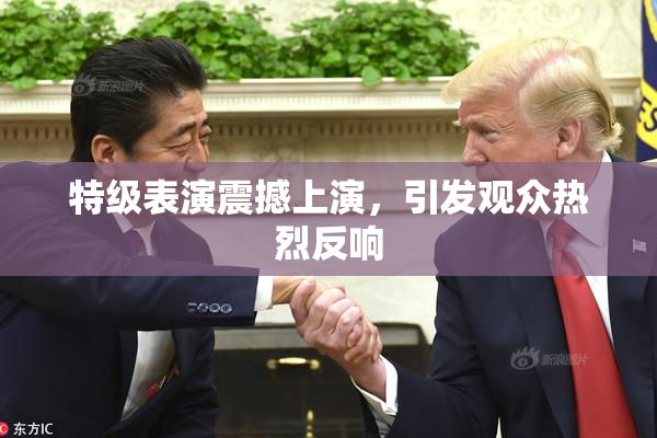 特级表演震撼上演，引发观众热烈反响