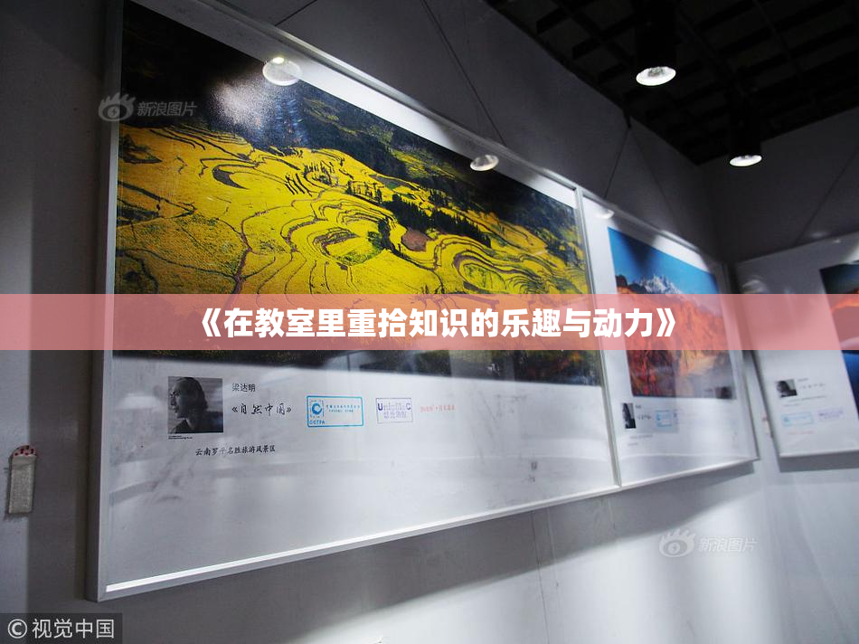 《在教室里重拾知识的乐趣与动力》
