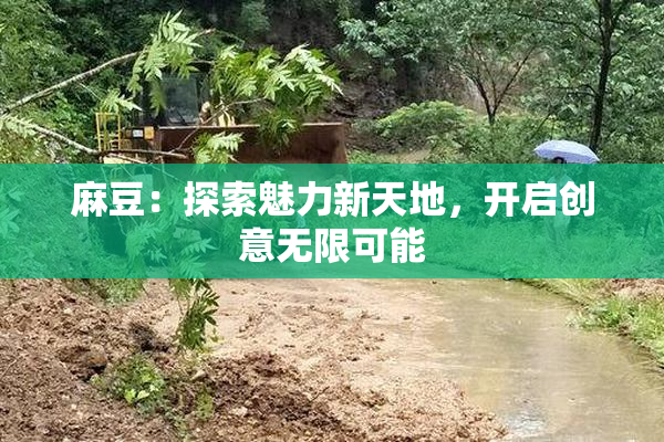 麻豆：探索魅力新天地，开启创意无限可能