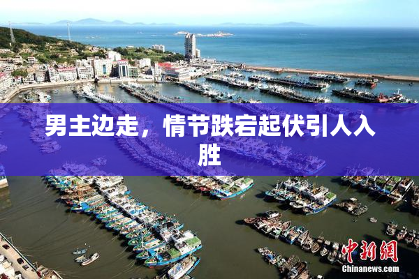 男主边走，情节跌宕起伏引人入胜
