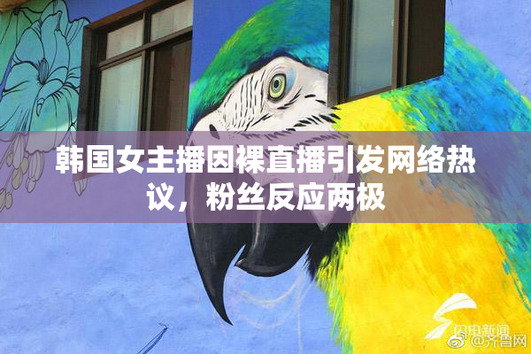韩国女主播因裸直播引发网络热议，粉丝反应两极