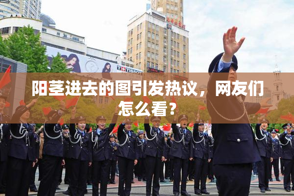 阳茎进去的图引发热议，网友们怎么看？