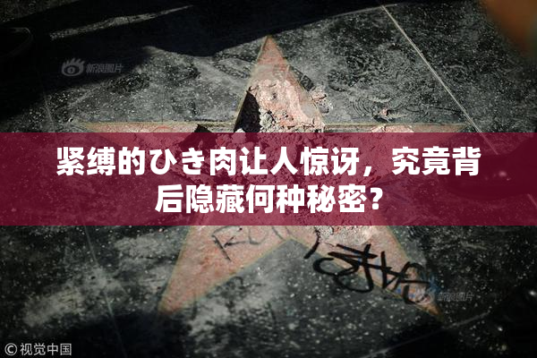 紧缚的ひき肉让人惊讶，究竟背后隐藏何种秘密？
