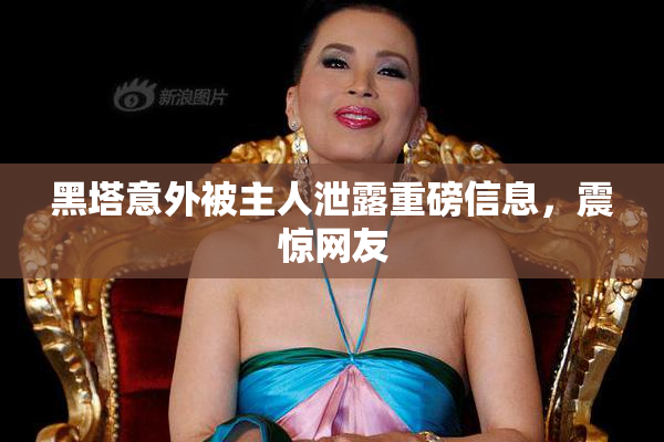 黑塔意外被主人泄露重磅信息，震惊网友