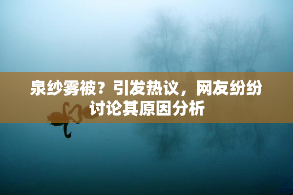 泉纱雾被？引发热议，网友纷纷讨论其原因分析