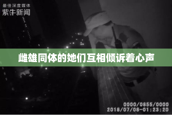 雌雄同体的她们互相倾诉着心声