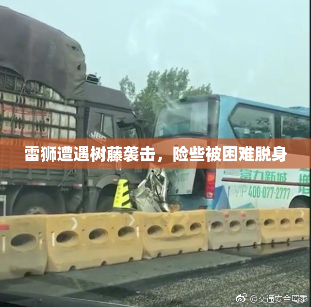 雷狮遭遇树藤袭击，险些被困难脱身