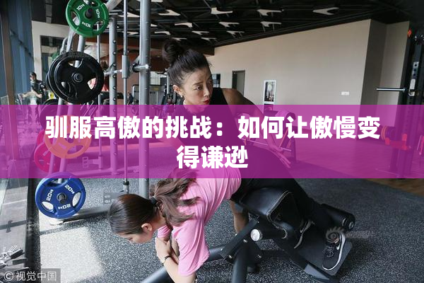 驯服高傲的挑战：如何让傲慢变得谦逊