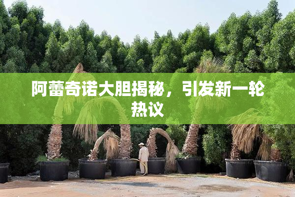 阿蕾奇诺大胆揭秘，引发新一轮热议