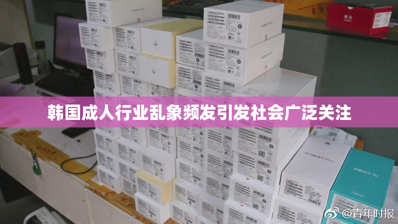韩国成人行业乱象频发引发社会广泛关注