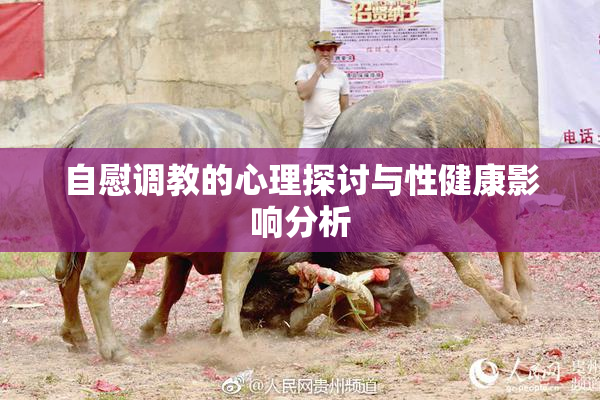 自慰调教的心理探讨与性健康影响分析