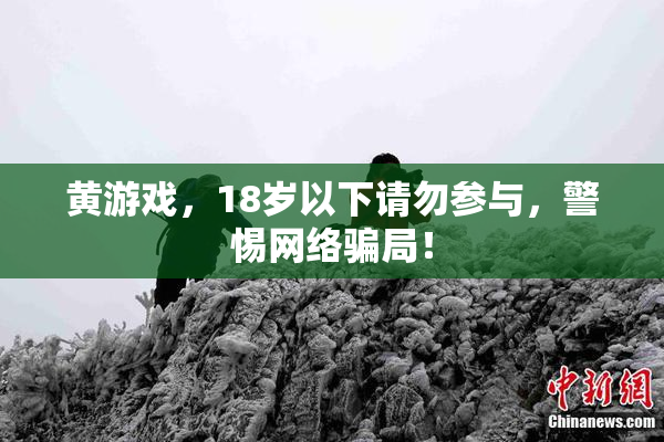 黄游戏，18岁以下请勿参与，警惕网络骗局！