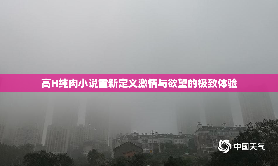 高H纯肉小说重新定义激情与欲望的极致体验