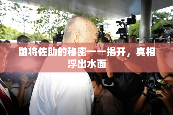 鼬将佐助的秘密一一揭开，真相浮出水面